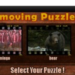 moving puzzle